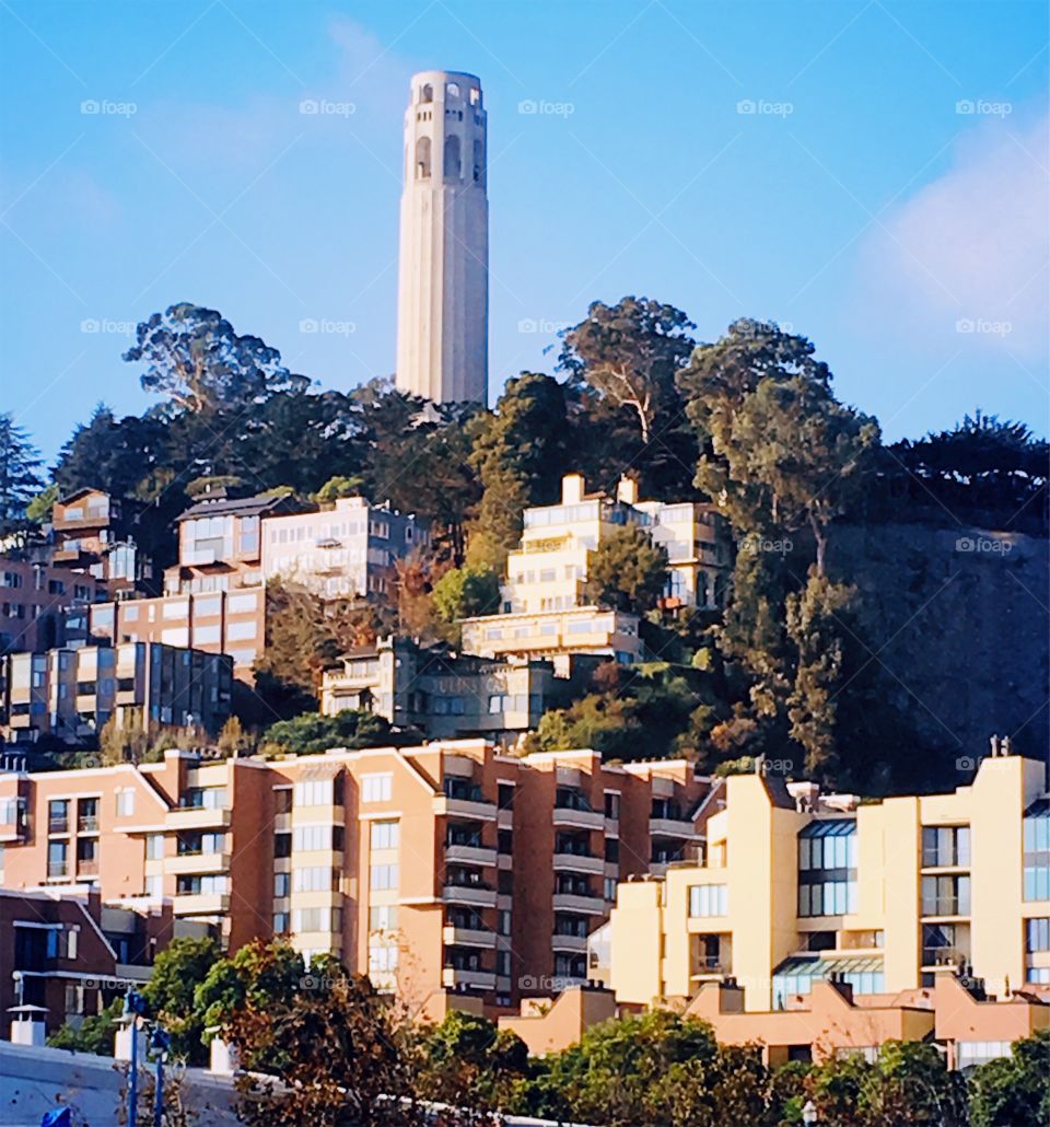 Coit Towers 