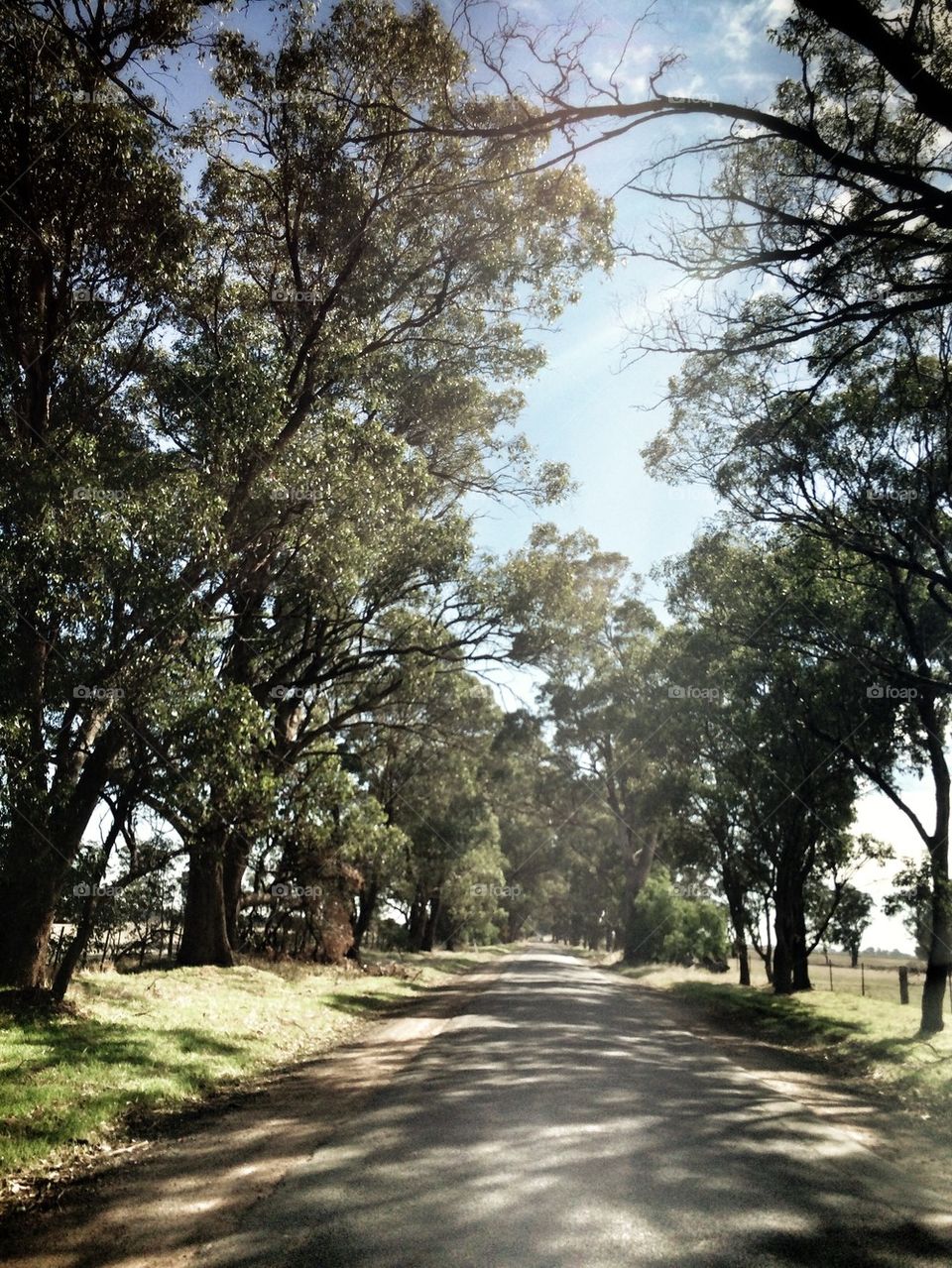 Country road in Australia