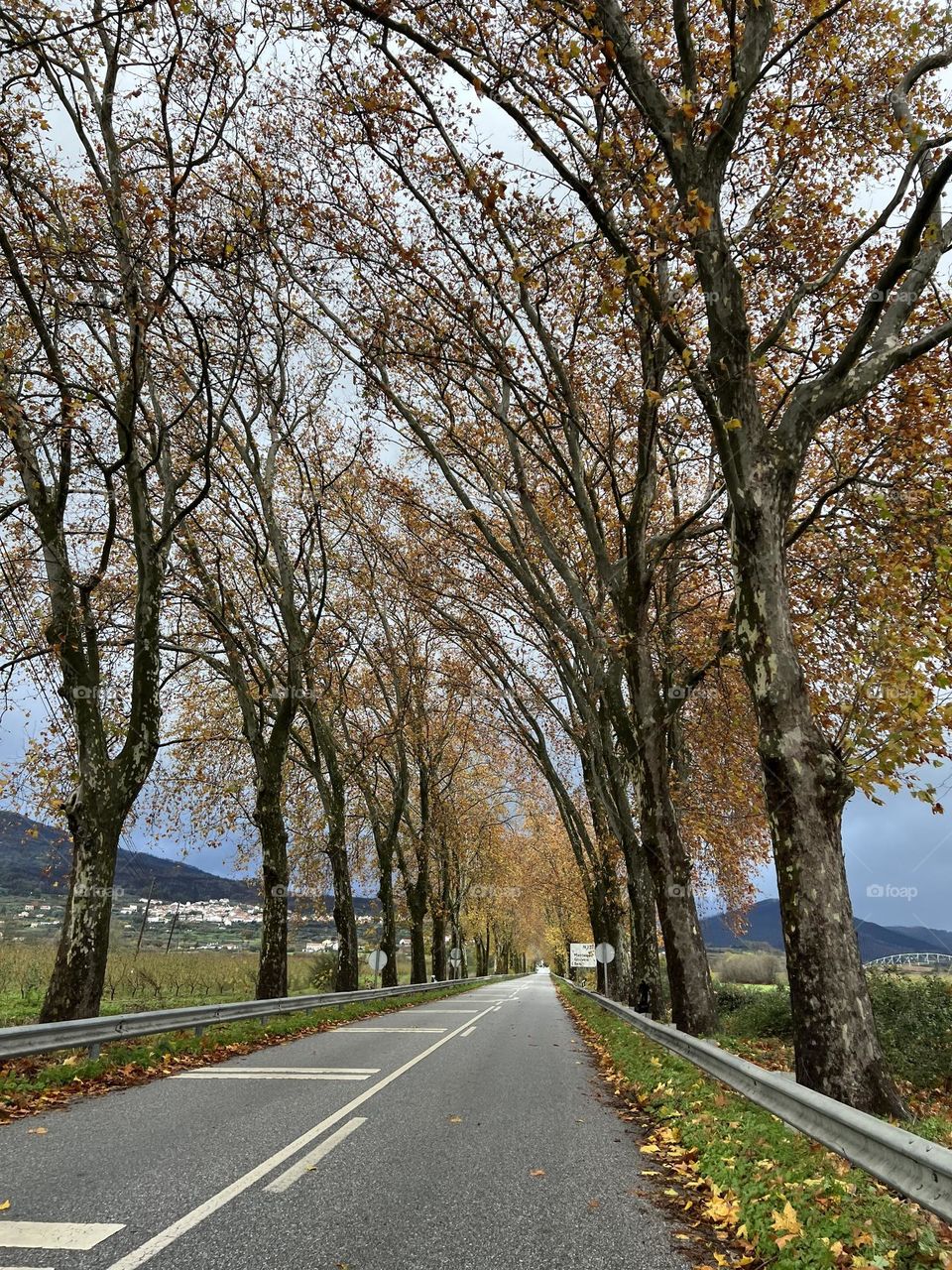 Road in Manteigas