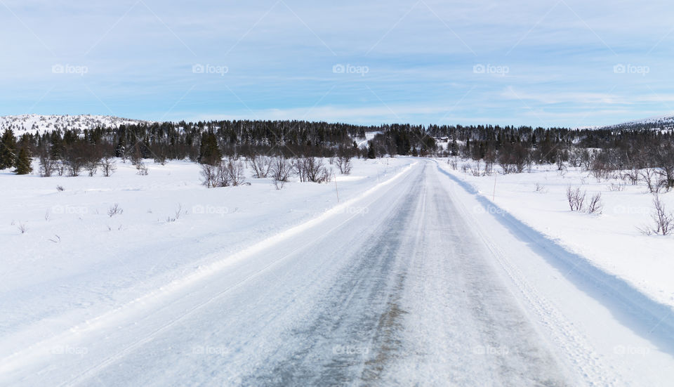 Winter Road