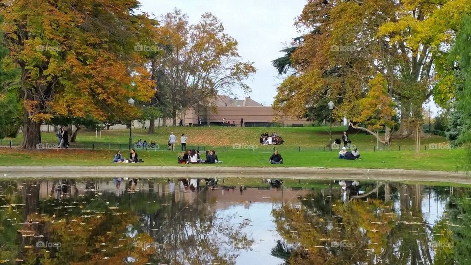 Reflection of trees and people having good time by the pond in Montpellier, France.