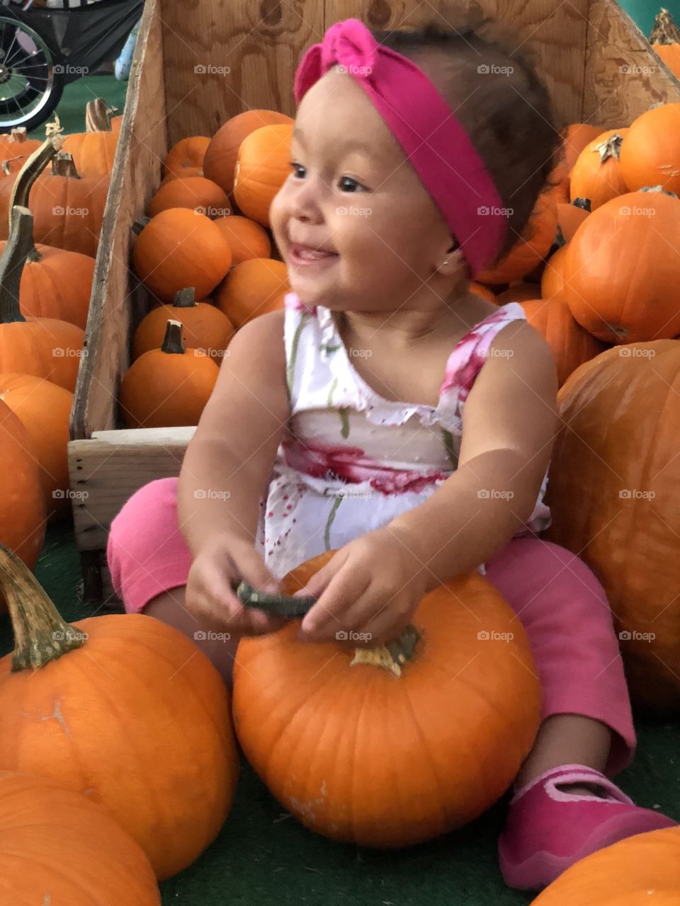 Baby pumpkin 🎃