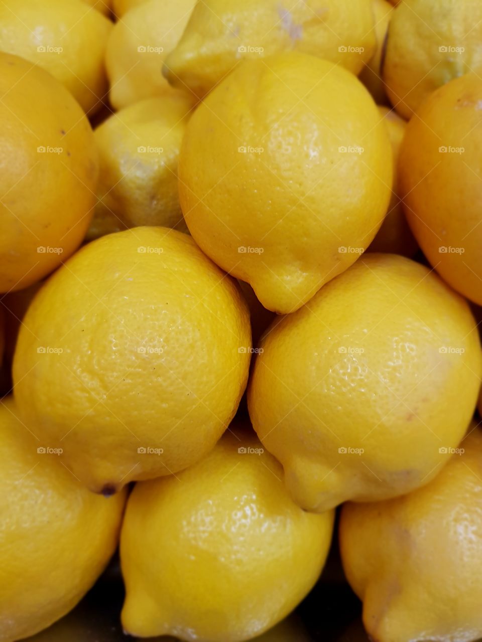 Sicilian lemon - Citrus limon