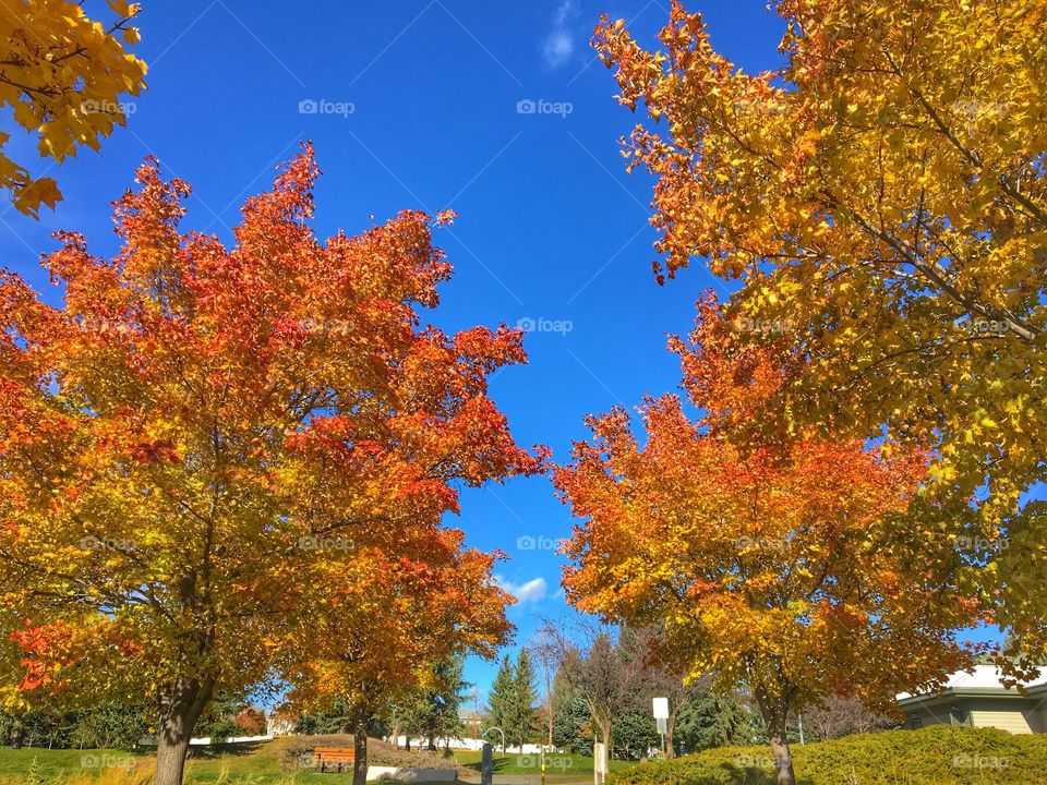 Beautiful autumn day! 