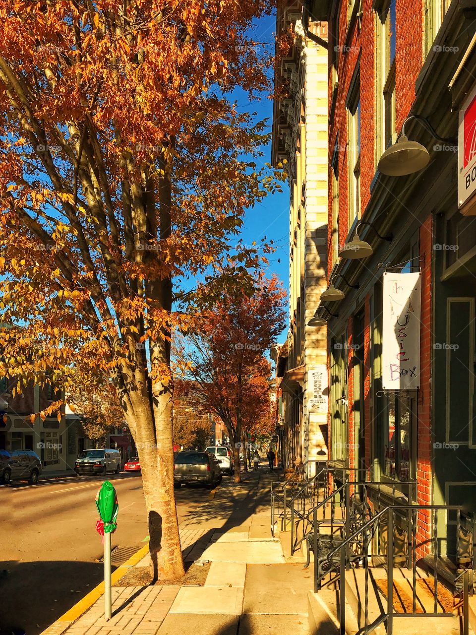 Village street scene