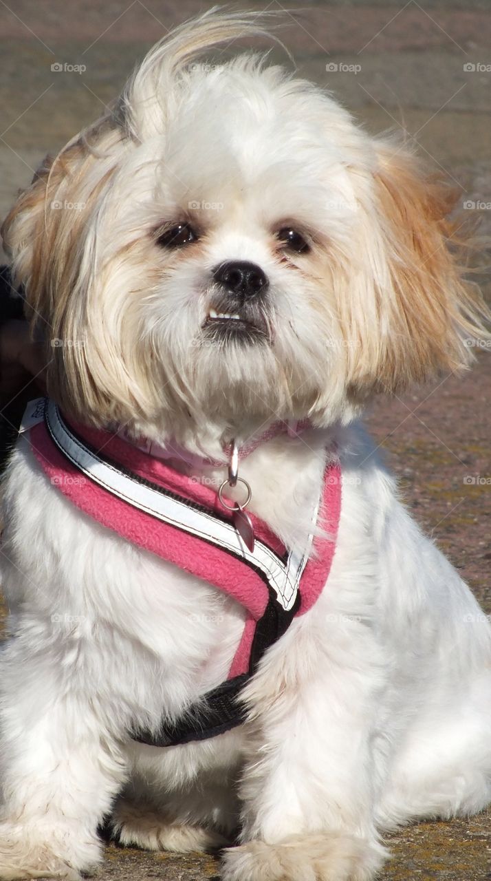 Come on then ! If you think your hard enough