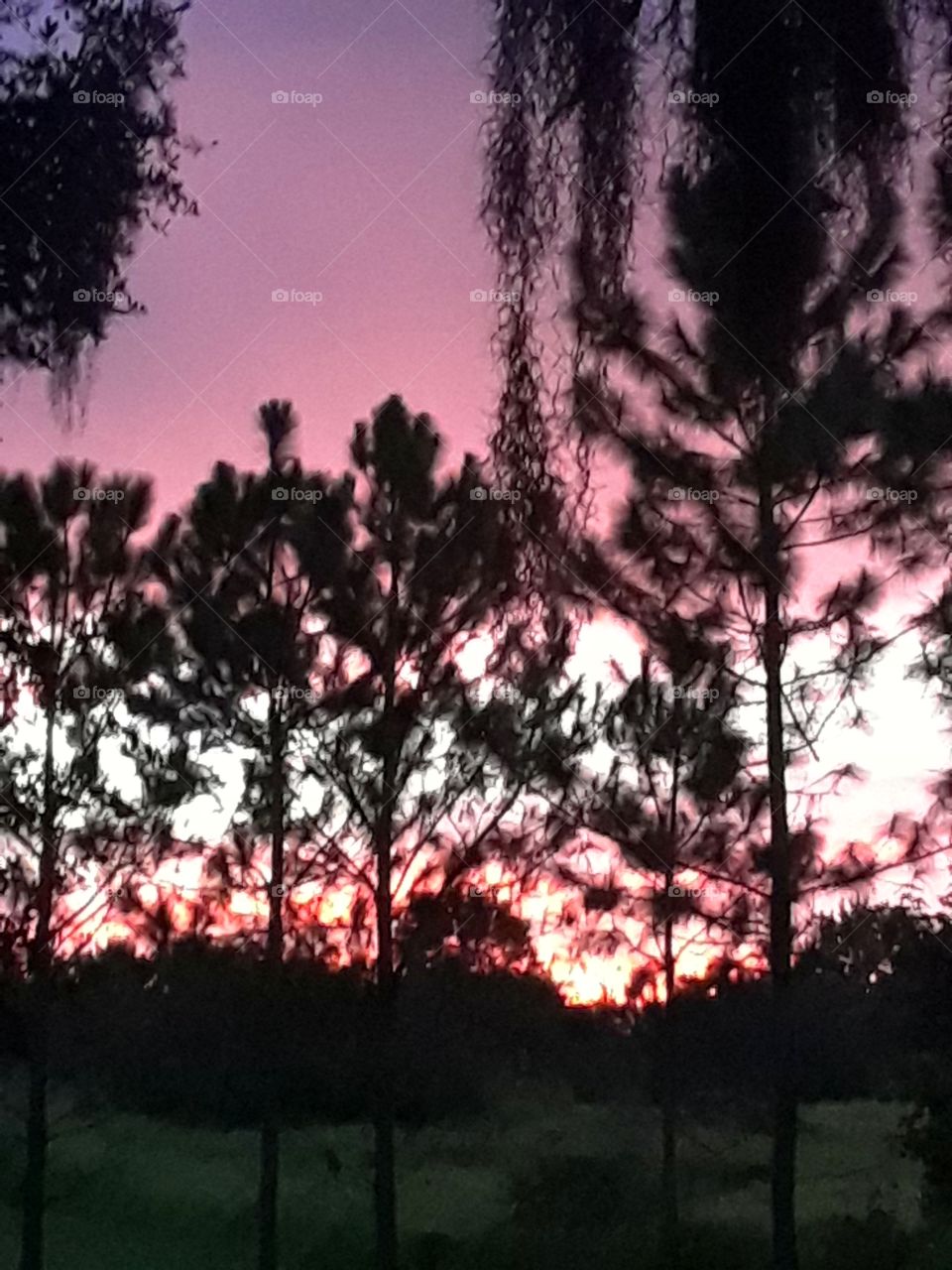 pink and white sky