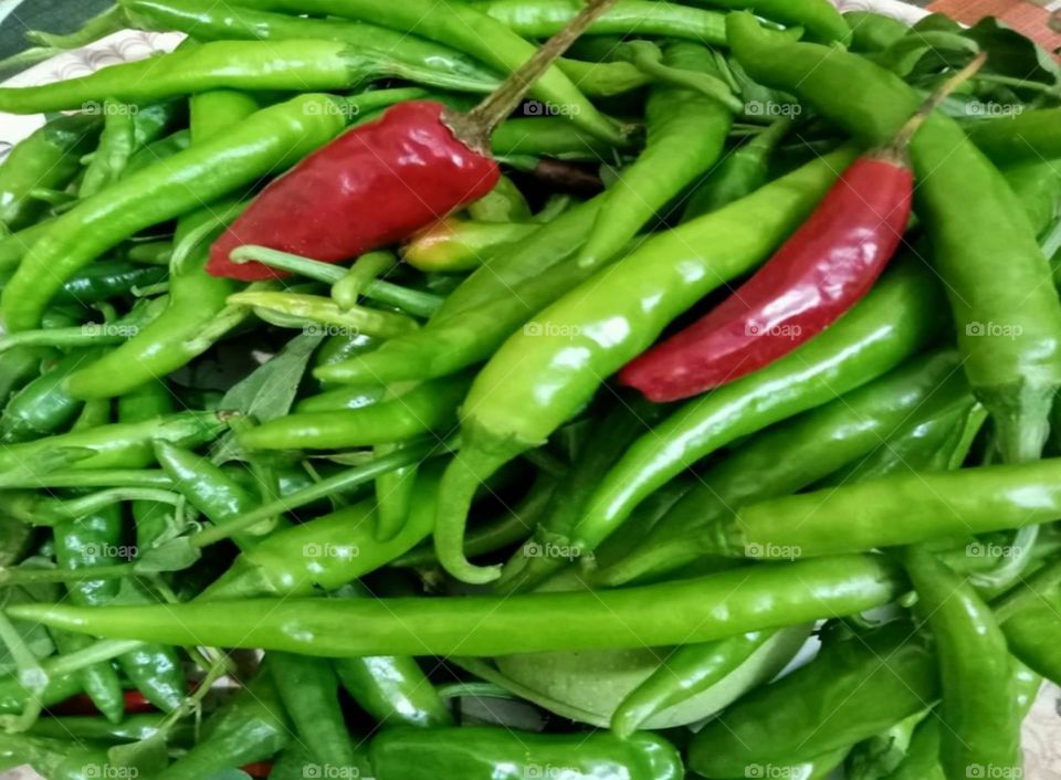Fresh green and red chillies