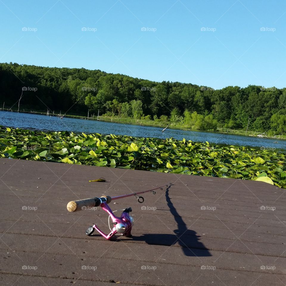 Pink fishing pole in a dock with Lily pads