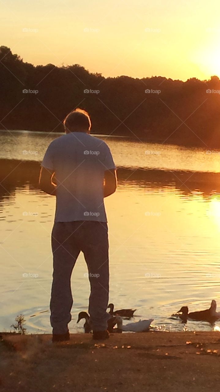 A beautiful view while feeding the waterfowl