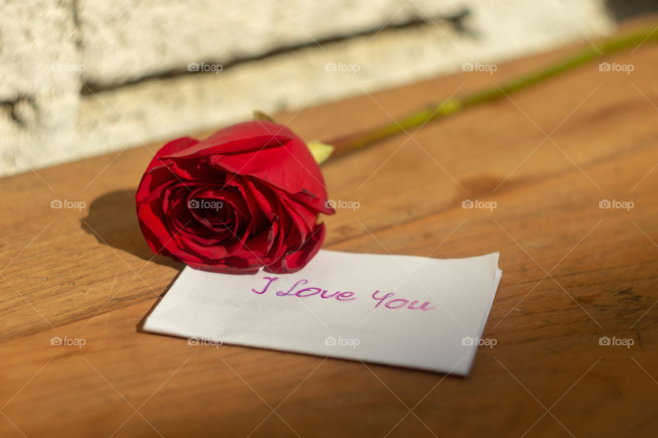 Rose and a card