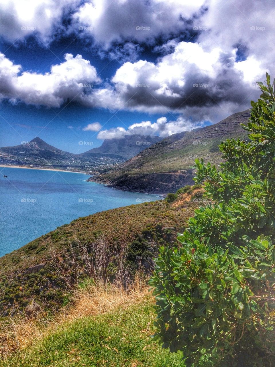 Sea view from Chapman's Drive