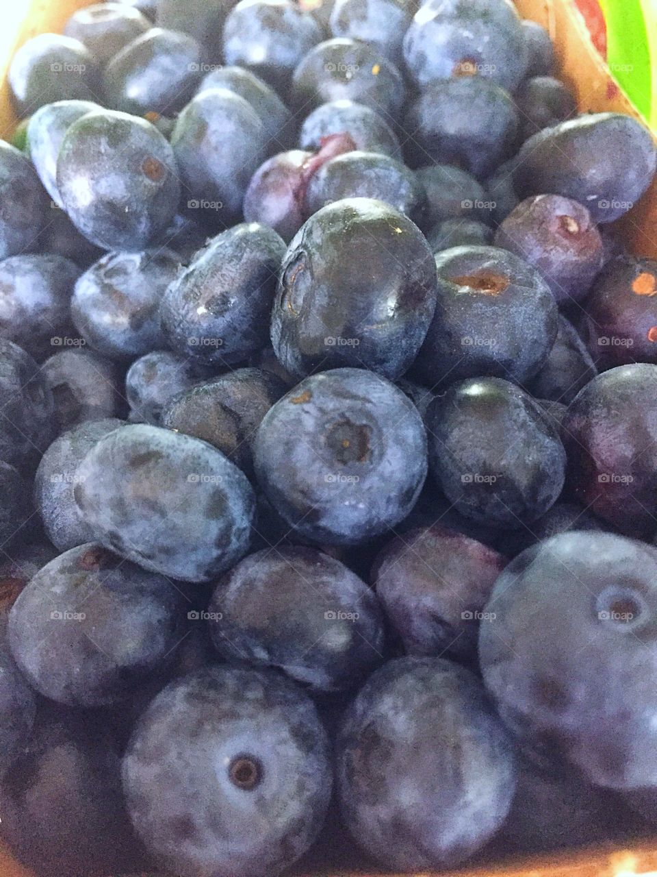 Blueberries 