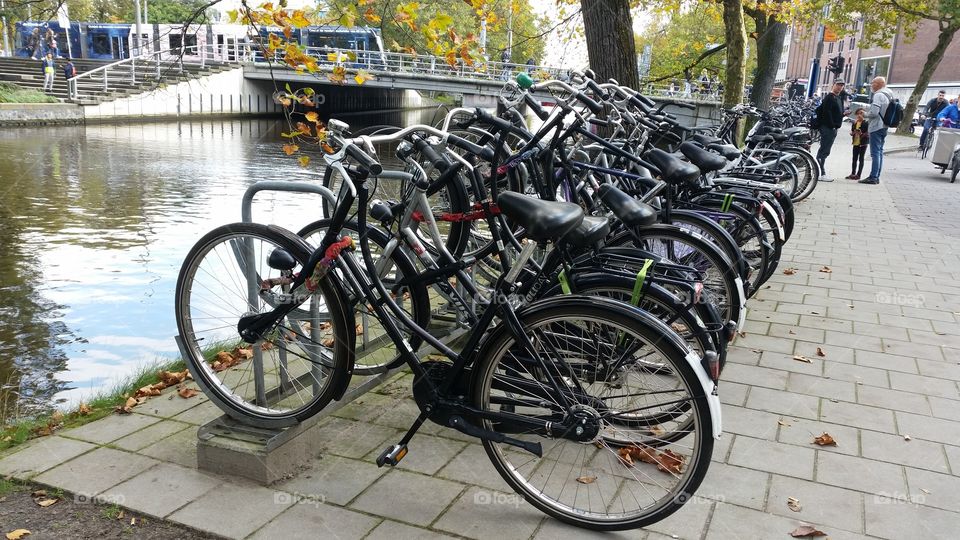 a typical view in Amsterdam