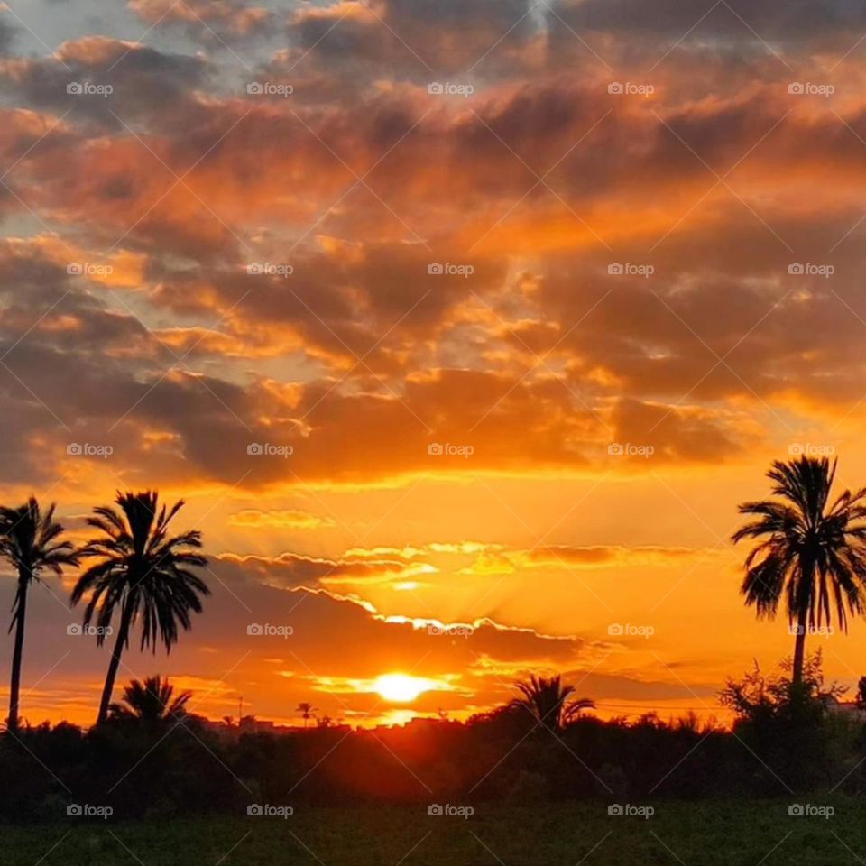 Sunset takes you to the world of wonderful colors