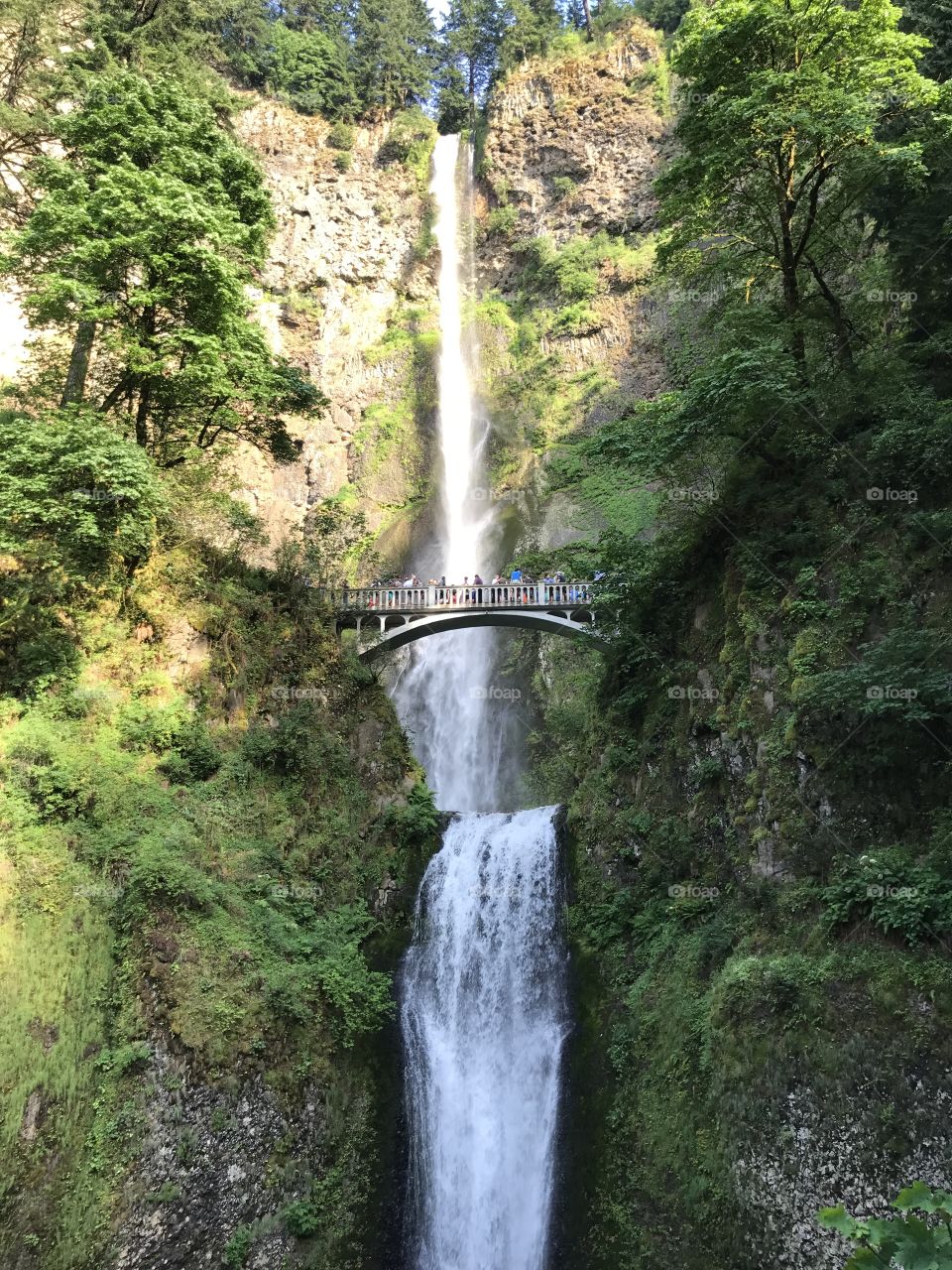 Multnomah Falls, Oregon