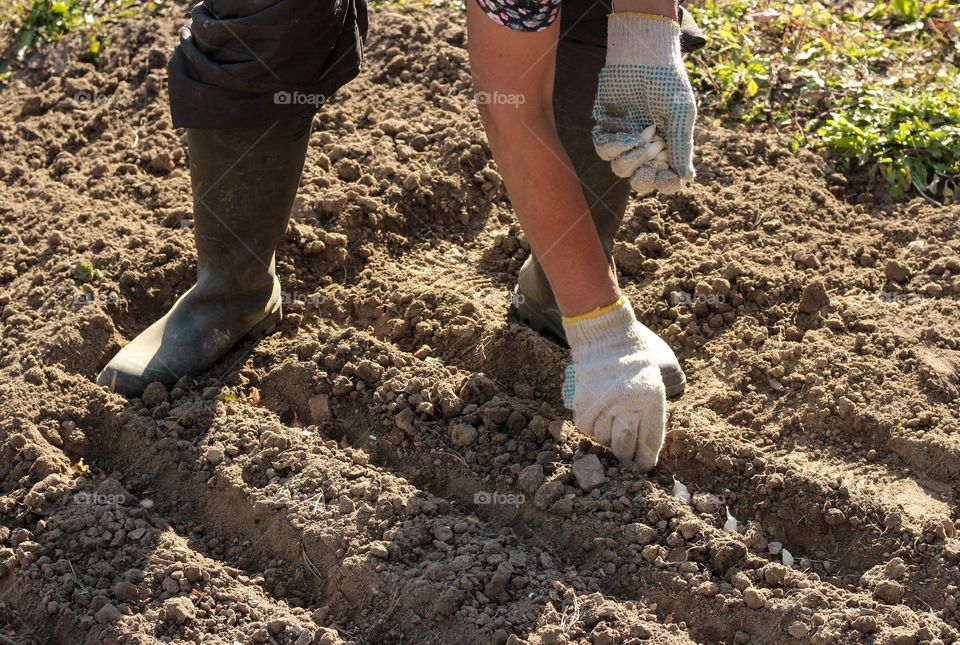 Woman planting in the garden