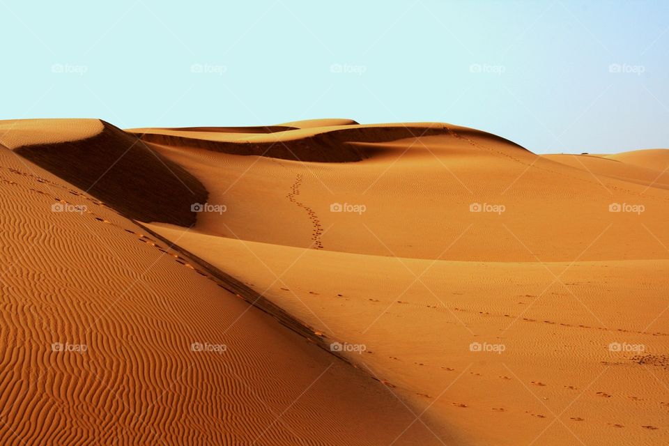 desert africa