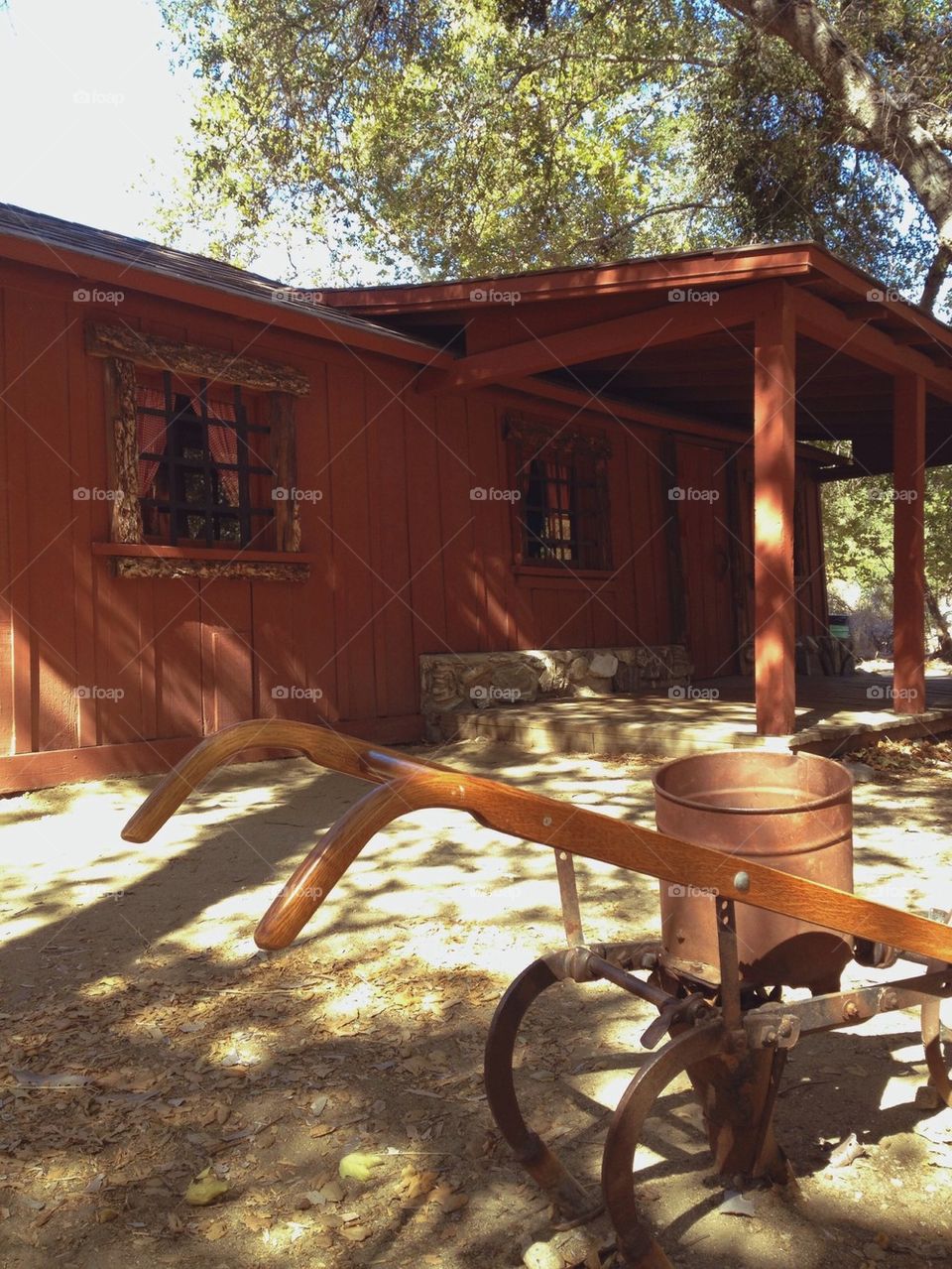 Old cabin in the woods