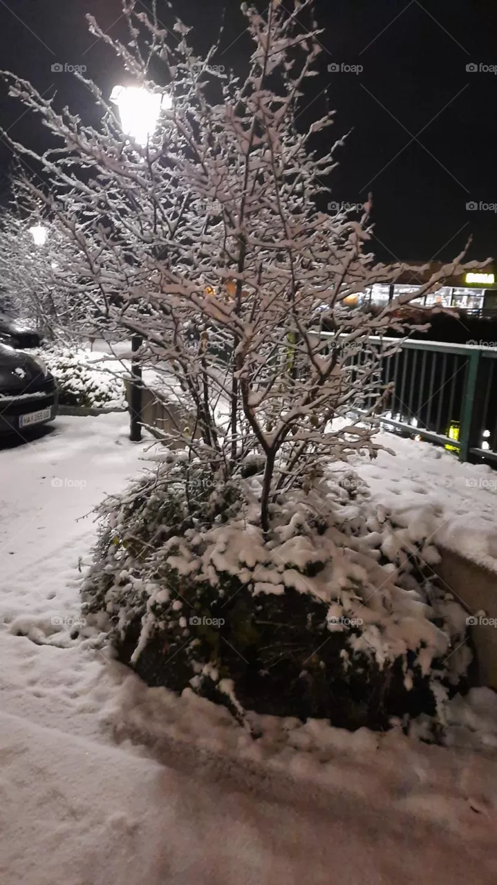 Winter 