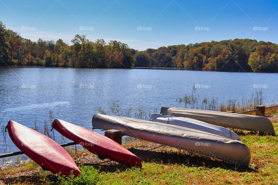 Canoes near lake