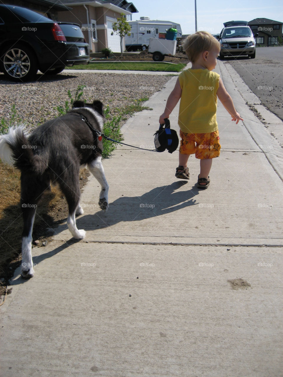 My son always enjoyed taking our dog on walks