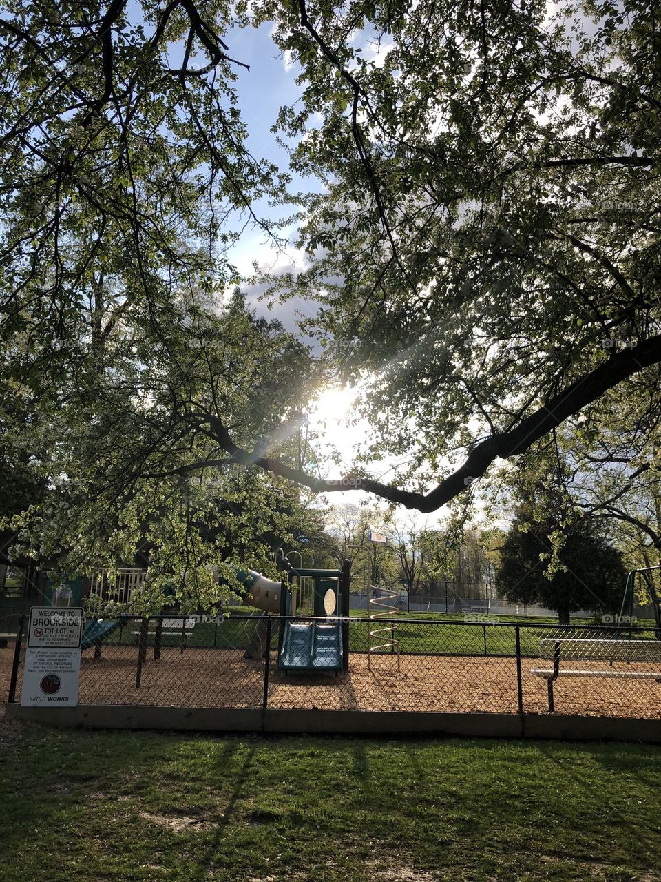 Sunlight beams and rays through the branches over the park play set 