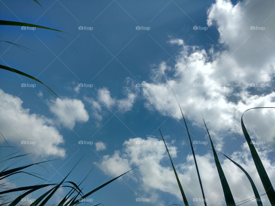 blue and cloudy sky