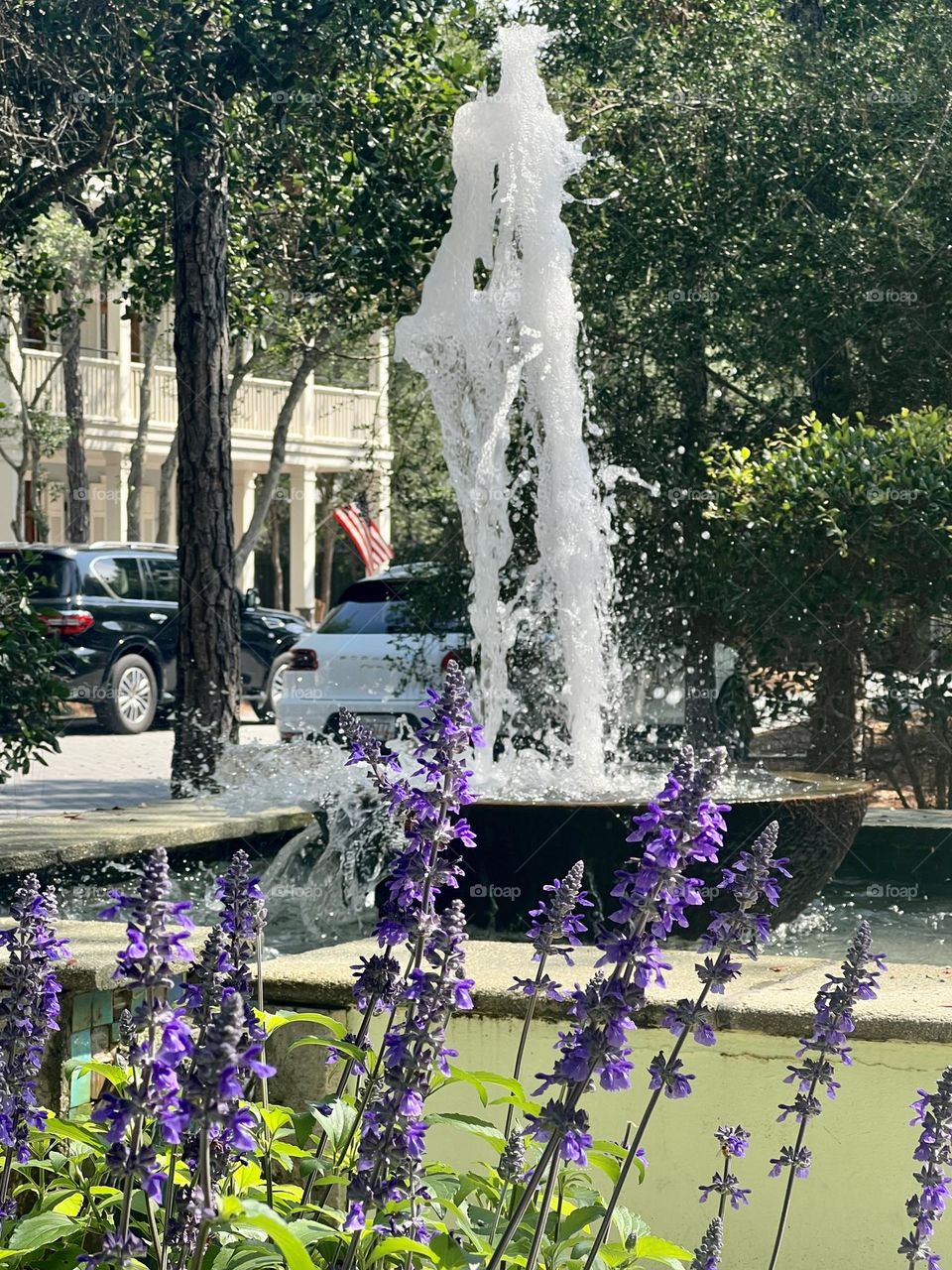 Sunny day in an urban park. Spikes of purple flowers in the foreground, trees and a bubbling water fountain behind, and background is a city street featuring cars, buildings and a US flag.