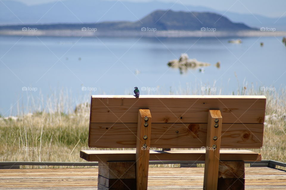 Mono lake...enjoy the silence