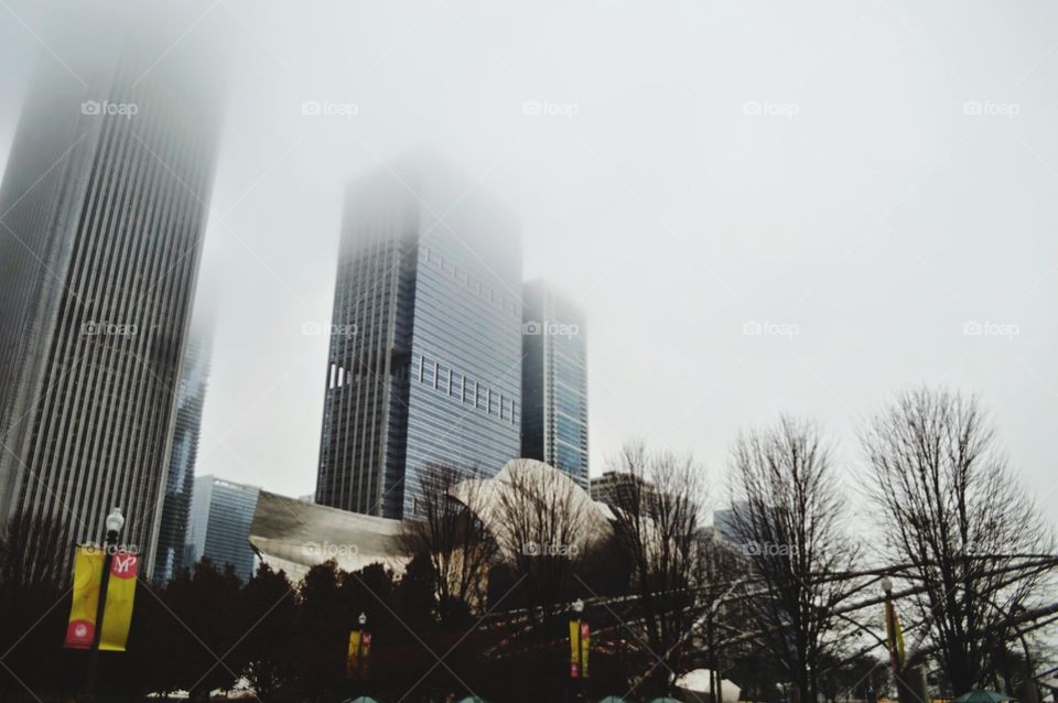 foggy day in chicago