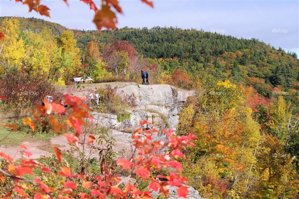 Catskill Cliff In The Fall