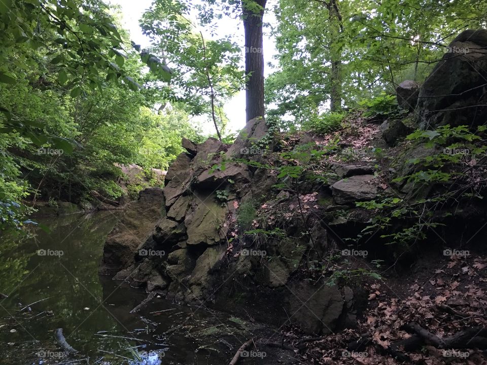 Hidden stream found at Central Park in New York City.