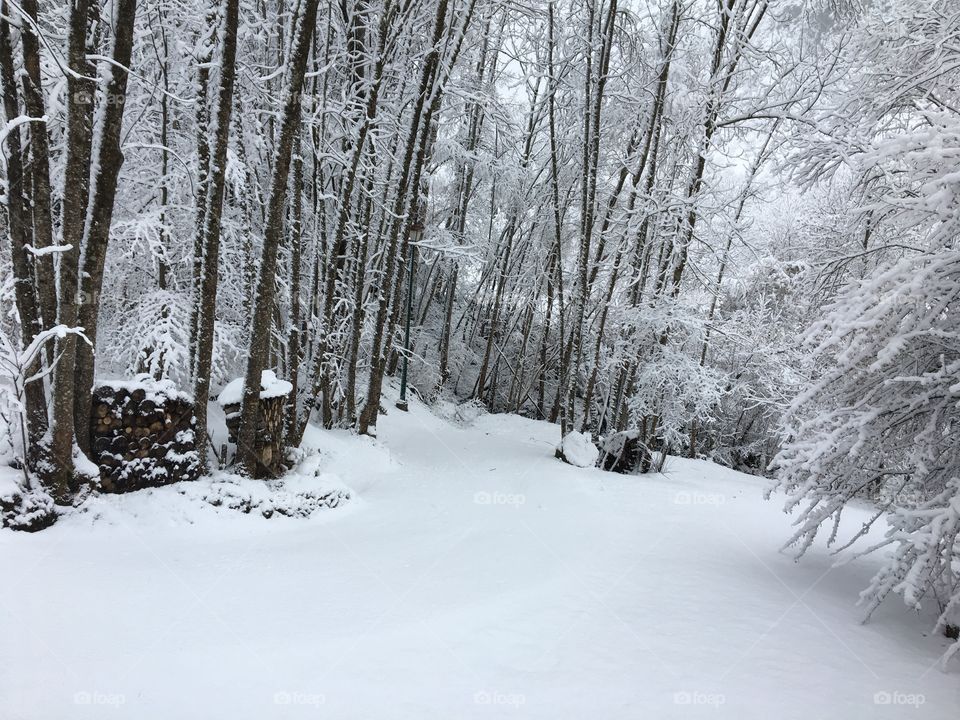 When you are ready for Spring 