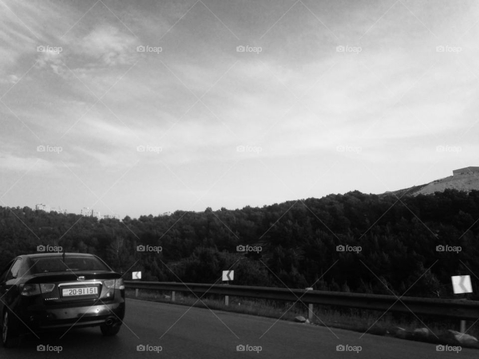 Car in street forest black n white