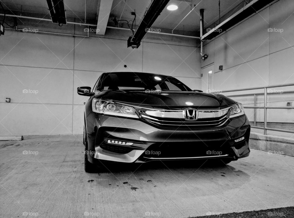 Honda in black & white