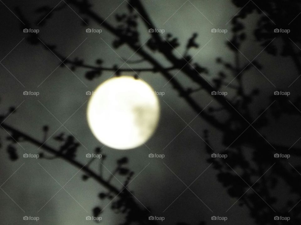 Full Moon in the Sky