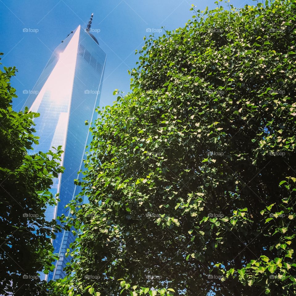 World Trade Center Memorial -- Survivor Tree