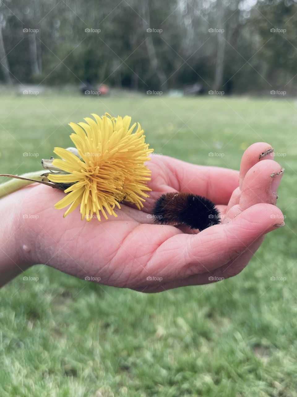 The whole world in my hand 