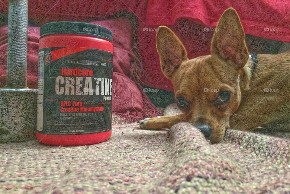 Como bomba esperando estallar  y destruir todo aquello que se oponga a su paso 