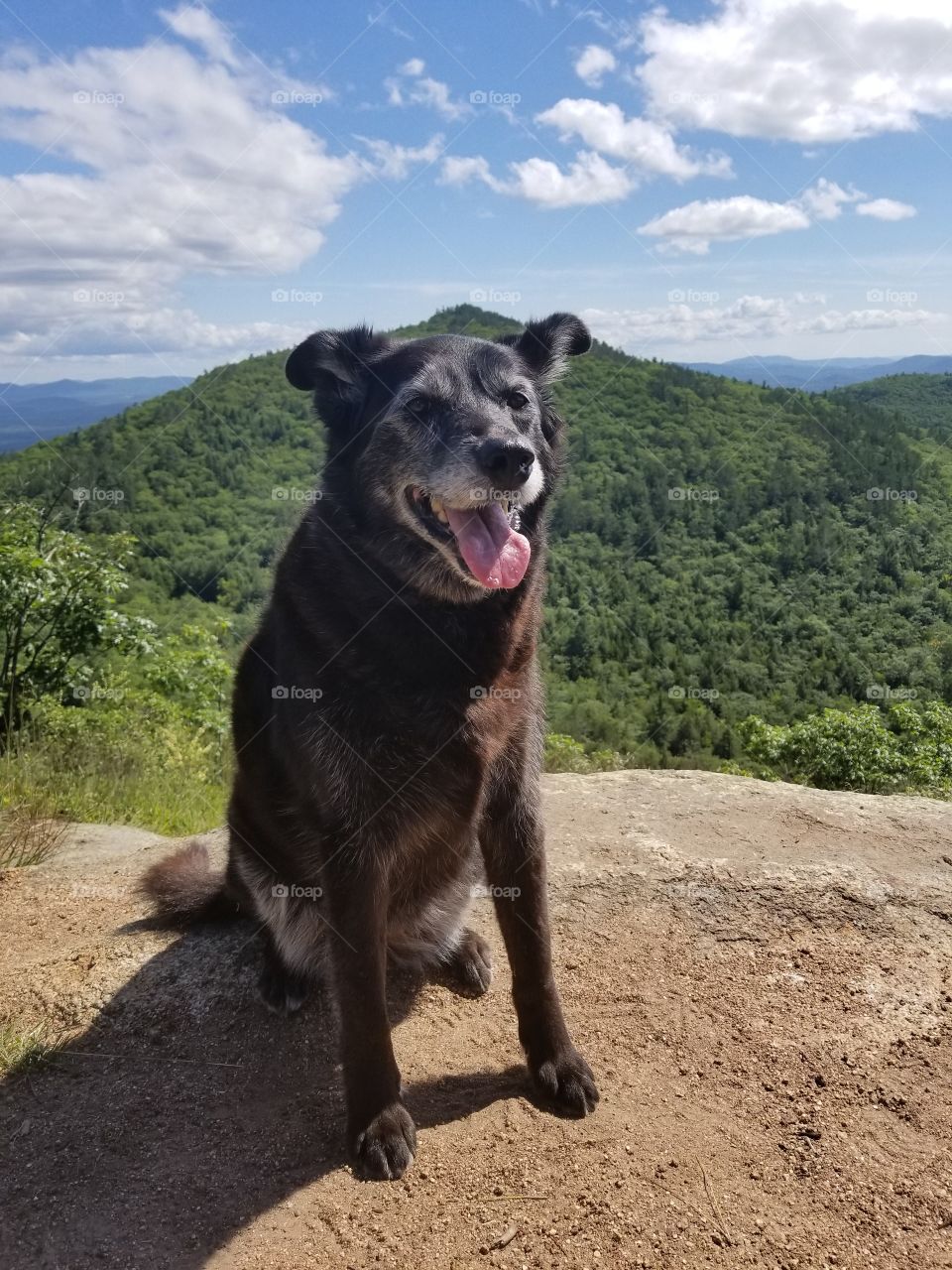 hiking old lady