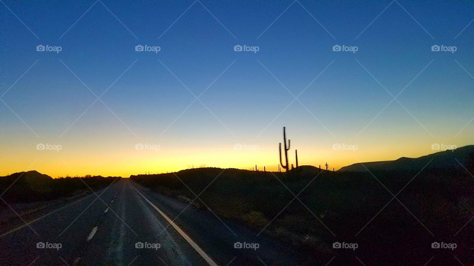 desert silhouette sunrise