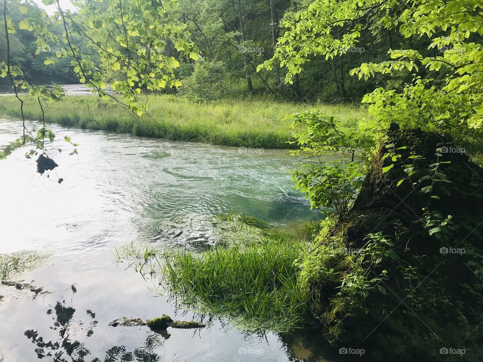 Gorgeous natural perfectly clear spring water in Ha Ha Tonka State Park in Missouri! 