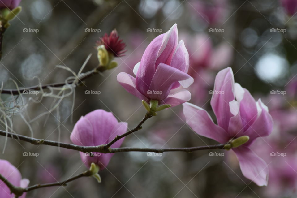 Definitely Delightful 