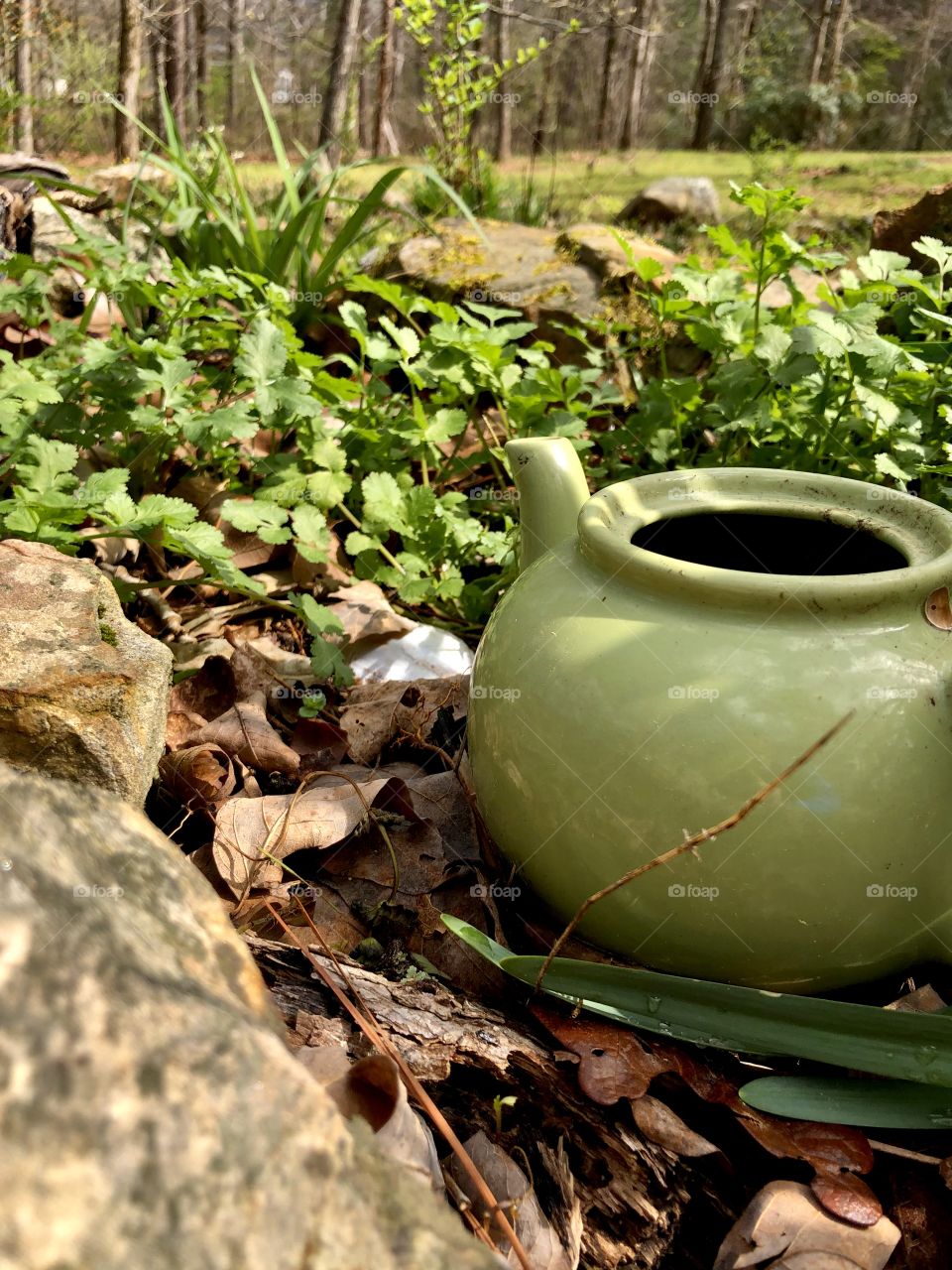 Ceramic teapot decorating herb garden 