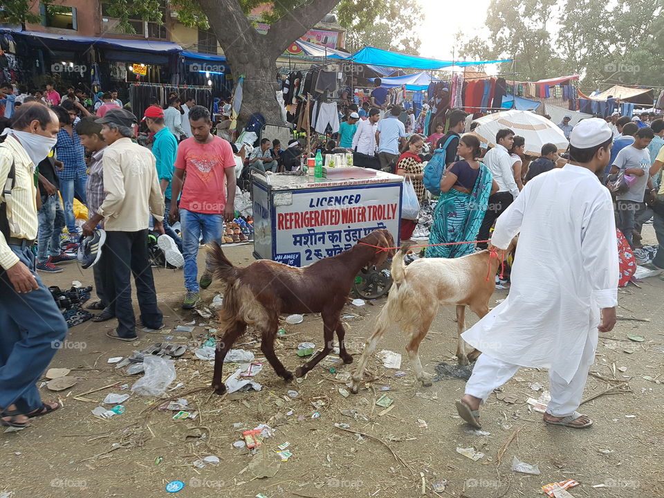 old market at delhi