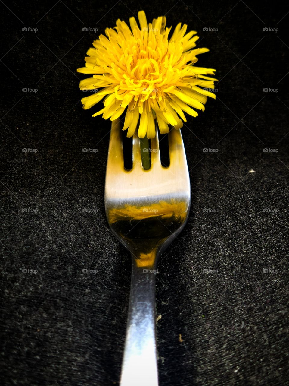 Dandelion on a metal fork