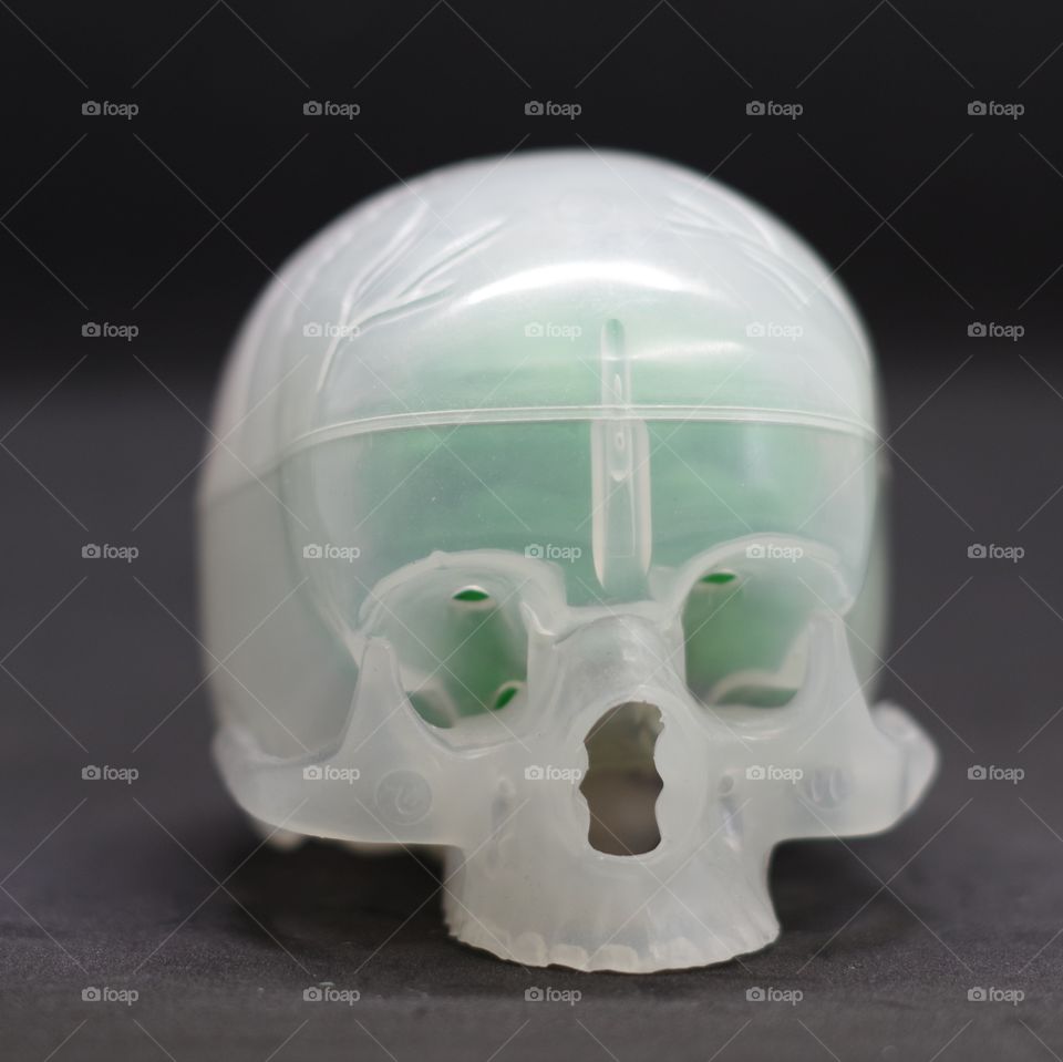 Build your own brain, a plastic model of the human skull and brain.