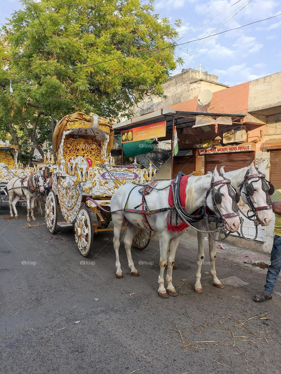 Horse Drawn Carriage