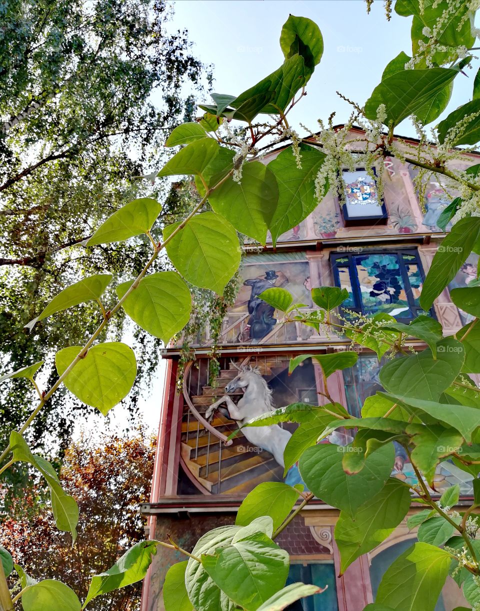 Painting at a housewall